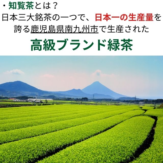 2025年(令和7年)産摘みたての新茶／ 鹿児島知覧産 深蒸し新茶