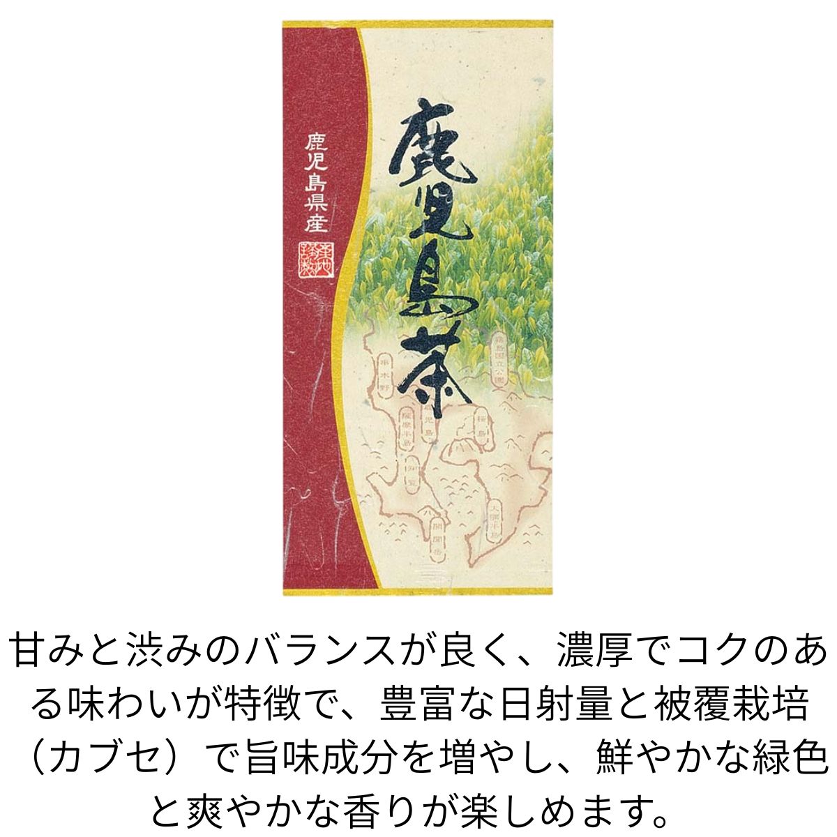 産地厳選 緑茶4種セット「静岡茶・八女茶・知覧茶・うれしの茶