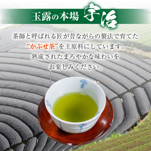 玉露の本場、宇治のかぶせ茶